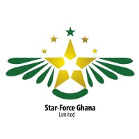 Star-force Ghana Limited logo - Similar company to Multiplex Systems Limtited