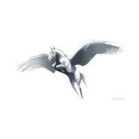 Pegasus India logo - Similar company to Tech Evolution