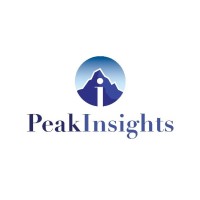 PeakInsights logo - Similar company to Creates