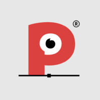 Pineda BDF logo - Similar company to México Design