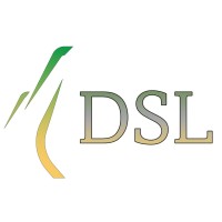 Diagnostic Structure Lyonnais logo - Similar company to Delta Structure
