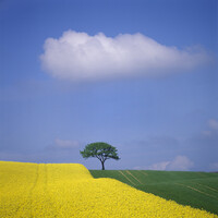 Yellowfield Capital AB logo - Similar company to Ydesign Ab