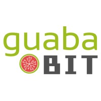 GuabaBIT logo - Similar company to Intersums