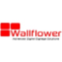 Wallflower Global Limited