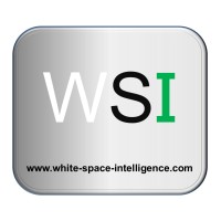 White Space Intelligence Ltd logo - Similar company to Clear Star