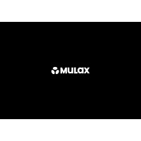 Mulax Electronics logo - Similar company to Nkix Electronics