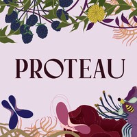 Proteau Zero-Proof Botanical Drinks logo - Similar company to Zero Proof Collective