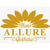 Mans Allure Gerbera logo - Similar company to Topline Gerbera