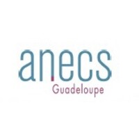 ANECS Guadeloupe logo - Similar company to Auditec Formation 971