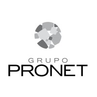 GRUPO PRONET logo - Similar company to The Bigtech Experience