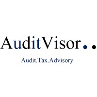 AuditVisor logo - Similar company to Auditvisor