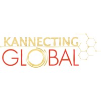 Kannecting Global Consultancy Services logo - Similar company to Shashiv It Solutions