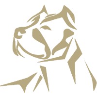 Pitbull Payments logo - Similar company to Targetprodr