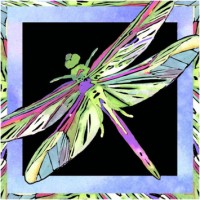 Dragonfly Marketing (Us)