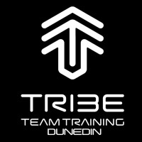 Tribe Team Training Dunedin logo - Similar company to Gravy