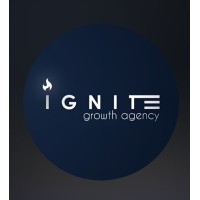 Ignite Growth Agency logo - Similar company to Techberrie