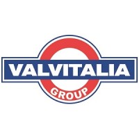 VALVITALIA GROUP logo - Similar company to Bonney Forge