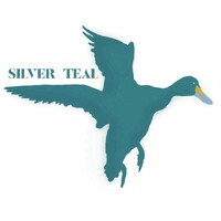 Silver Teal Ltd logo - Similar company to Sm London Construction Ltd