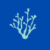 Caribbean Venture Collective logo - Similar company to Thnk Machine