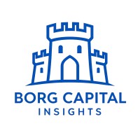 Borg Capital Insights logo - Similar company to Biot Global