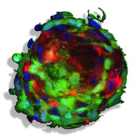 SymbioCellTech, LLC logo - Similar company to Prism Ai Therapeutics