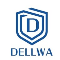 Dellwa Co., Ltd (Memory card/SSD/Dram) logo - Similar company to Vlead Media