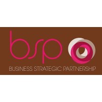 BSP Group logo - Similar company to Bsp Group