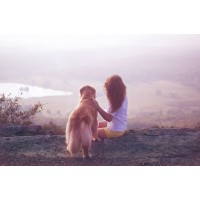 B's Better logo - Similar company to Uplearn