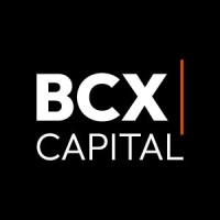 BCX Capital logo - Similar company to Np Clinic