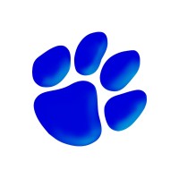 Blue Tiger Networks