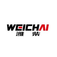 WEICHAI MIDDLE EAST logo - Similar company to Brillaspace