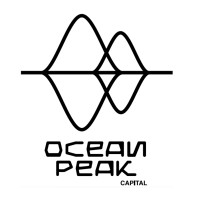 Ocean Peak Capital logo - Similar company to Denos