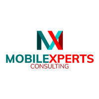 Mobile Experts Consulting SA de CV logo - Similar company to Equisis
