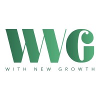 WNG Consulting logo - Similar company to Shooter Paaji