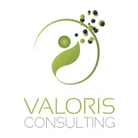 VALORIS Consulting SARL logo - Similar company to Advaloris Consulting | Expertise Comptable Et Consulting À Casablanca