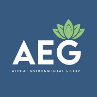 PT Alpha Environmental Group logo - Similar company to Fintick