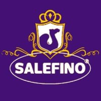 SALEFINO logo - Similar company to B A Barry Group