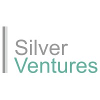 Silver Ventures logo - Similar company to Apsaugos Komanda