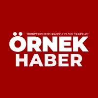 Örnek Haber logo - Similar company to Siyasi Point