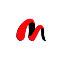 Madvitz Retail Stores Inc. logo - Similar company to Scayul