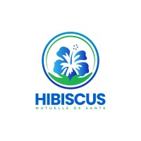 HIBISCUS logo - Similar company to Microconcept