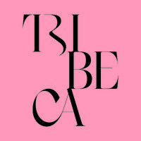 Tribeca Capital Partners logo - Similar company to Wanaka Partners