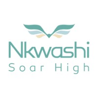 NKWASHI logo - Similar company to Mlpc Projects