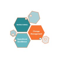 Restructuring Academy logo - Similar company to Reanda In Bosnia And Herzegovina