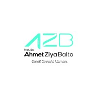 Prof. Dr. Ahmet Ziya Balta
