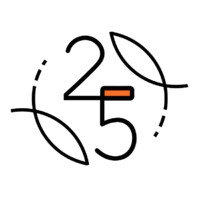 twenty five logo - Similar company to Twenty Five - Strategy For Every Stage