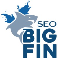 Big Fin SEO logo - Similar company to Mgc It Solutions