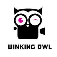 Winking Owl logo - Similar company to Everything Sports