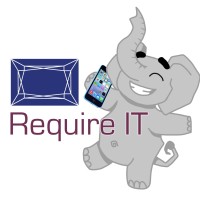 Require IT Ltd logo - Similar company to Rapidsource It Limited