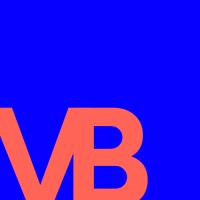 VIZBAY logo - Similar company to Flyertap